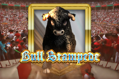 bullstampede