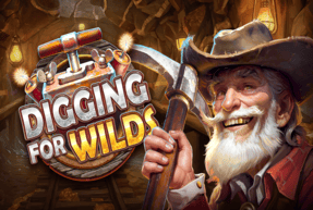 diggingforwilds
